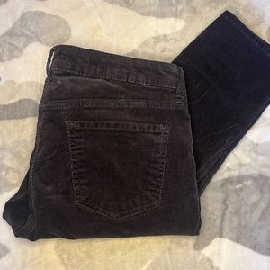 NWOT EDYSON Gray Corduroy Pants
